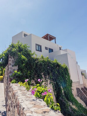 Un edificio moderno con techo plano, ventanas amplias y una pared de piedra cubierta de plantas trepadoras.