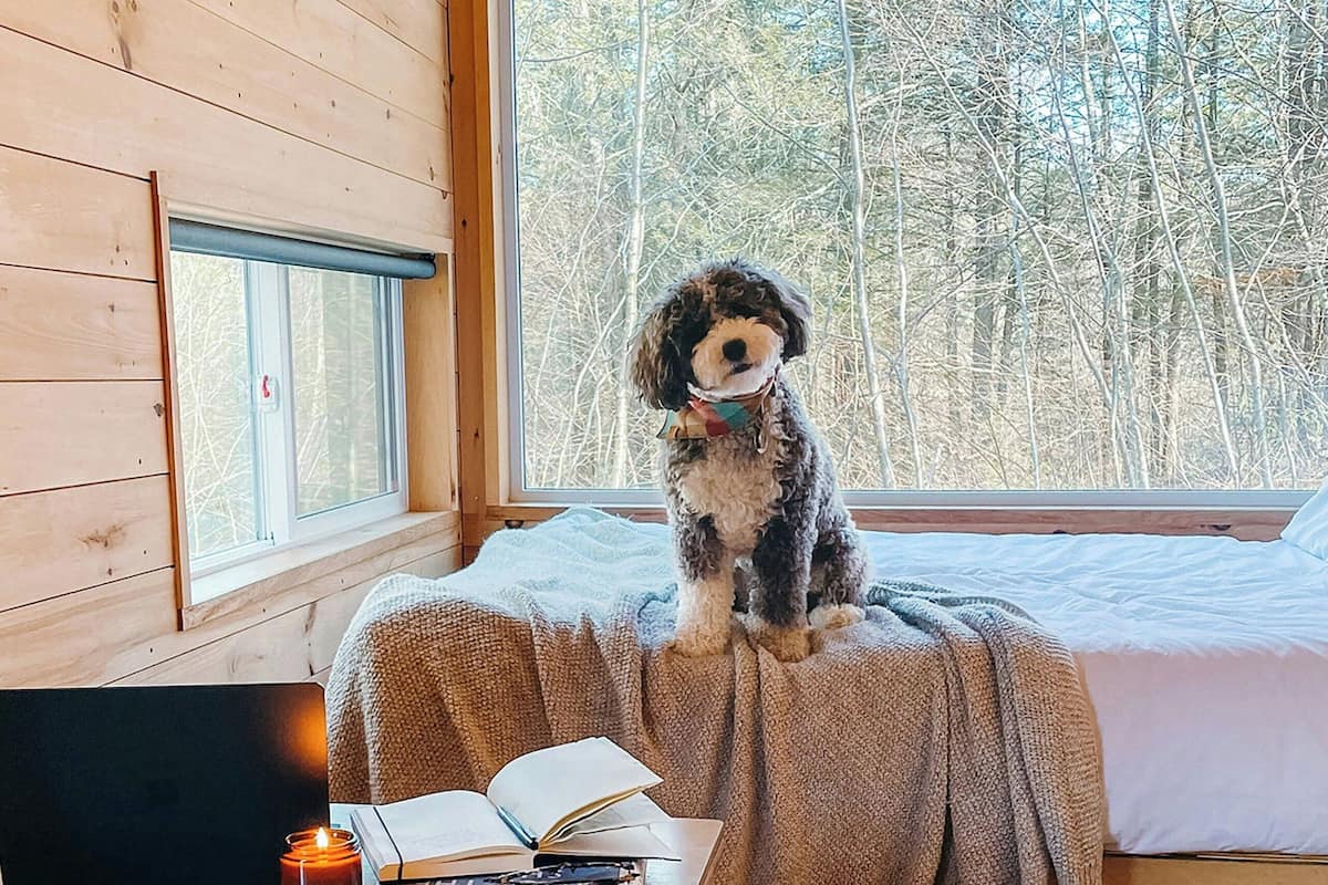 1 bedroom, desk, laptop workspace, bed sheets
