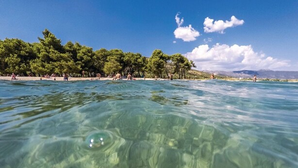 On aperçoit clairement une plage où des gens se prélassent au soleil et se baignent, le tout étant entouré d’arbres et surplombé par un ciel dégagé.