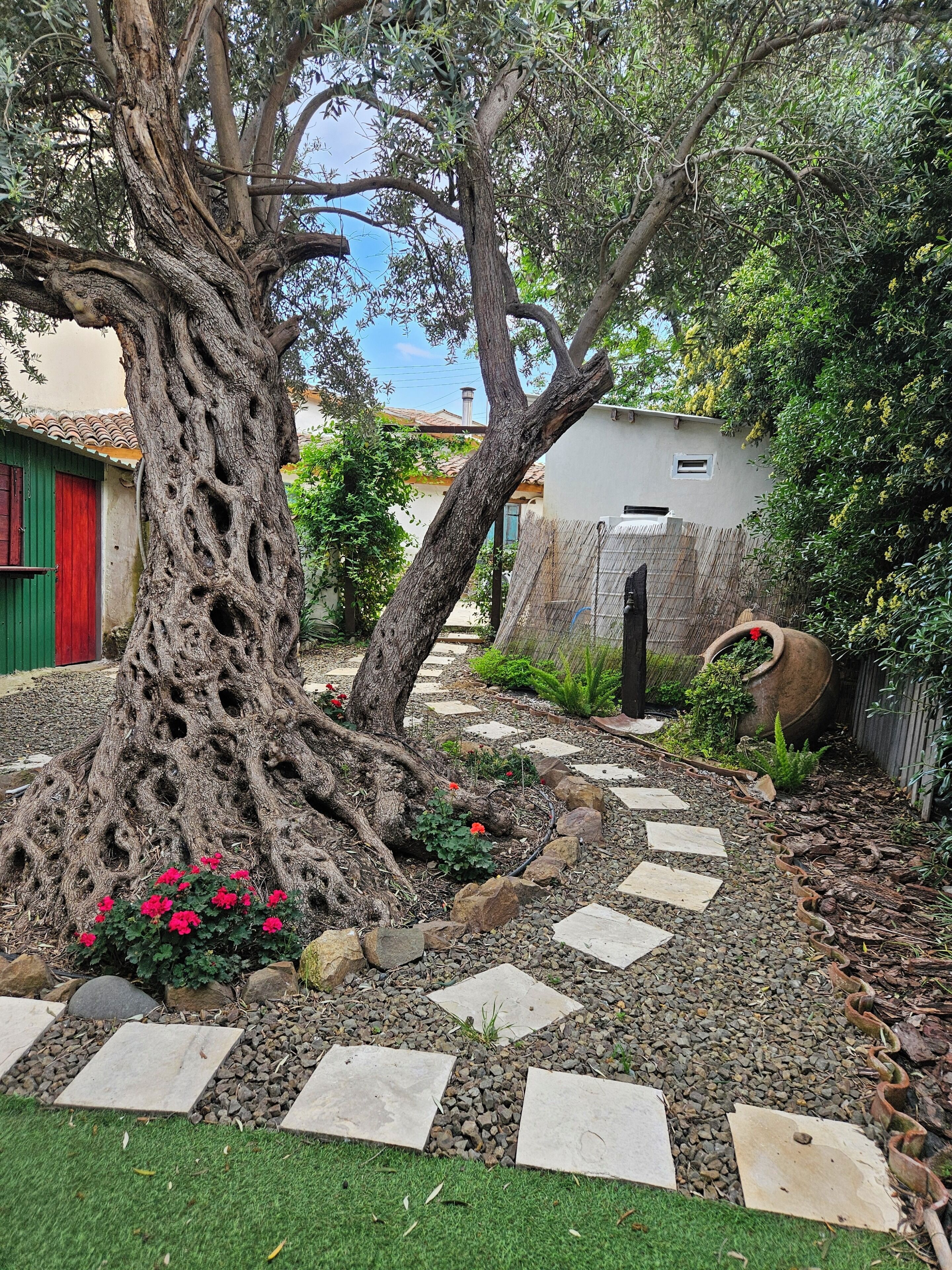 Un jardin avec un grand arbre, des pas japonais et un sentier.