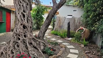 Un jardin avec un grand arbre, des pas japonais et un sentier.