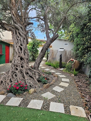 Un jardín con un árbol grande, piedras para pisar y un sendero.