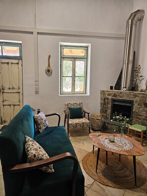 TV, fireplace, books