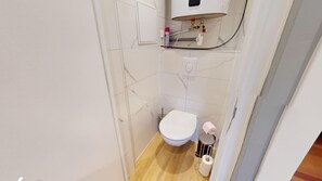 Douche, séchoir à cheveux, serviettes fournies, savon