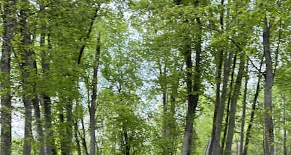 Waterfront 4-bedroom house 25mins from downtown Ottawa