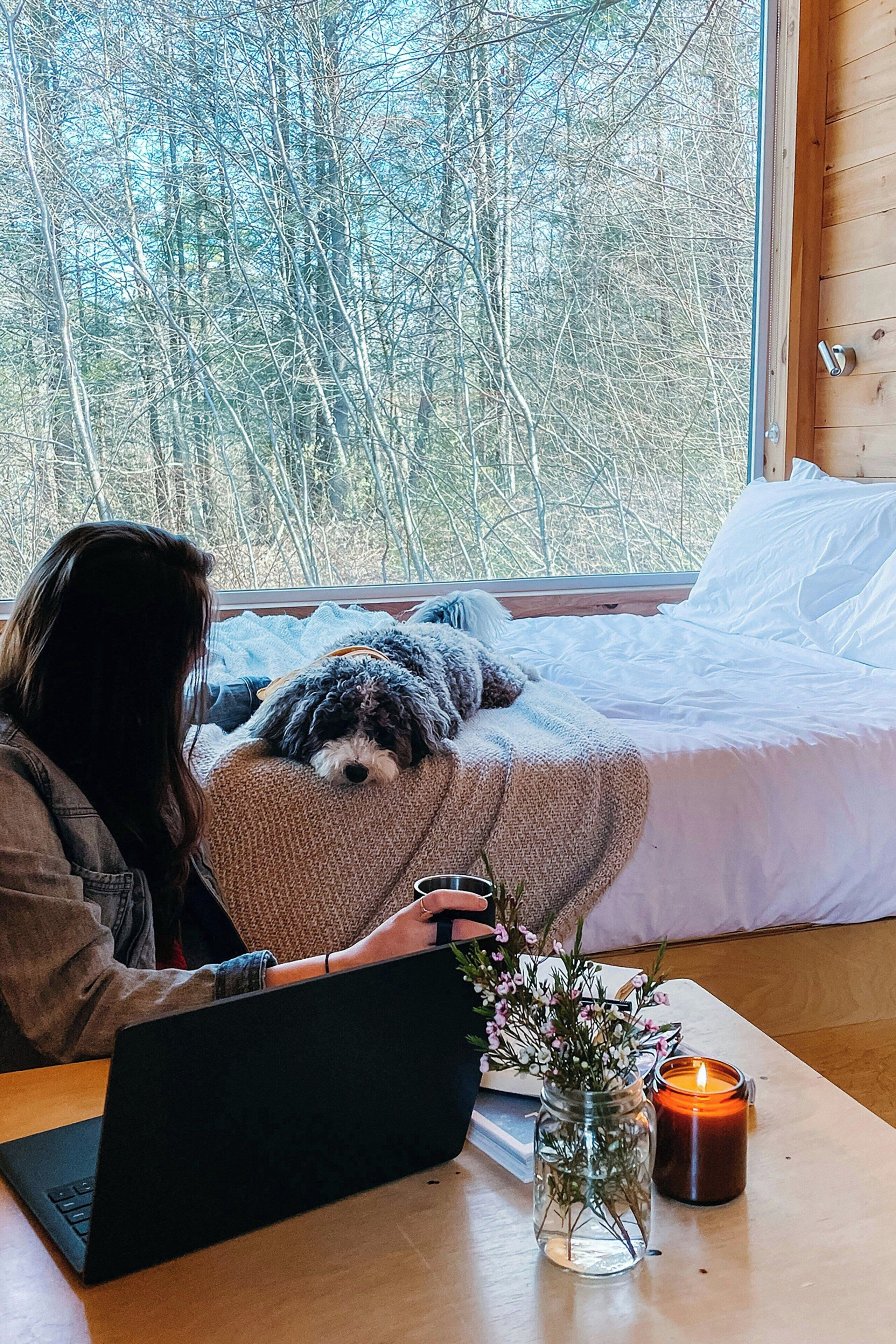 A person sitting at a table with a laptop, a candle, and a vase of flowers on a wooden table. A dog is lying on a bed in the background.
