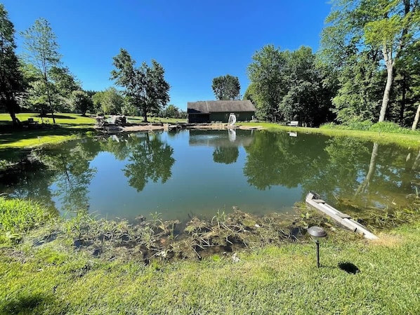 A pond with a house in the background, surrounded by trees and grass.