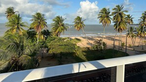 Vista de una playa con palmeras y cielo despejado.