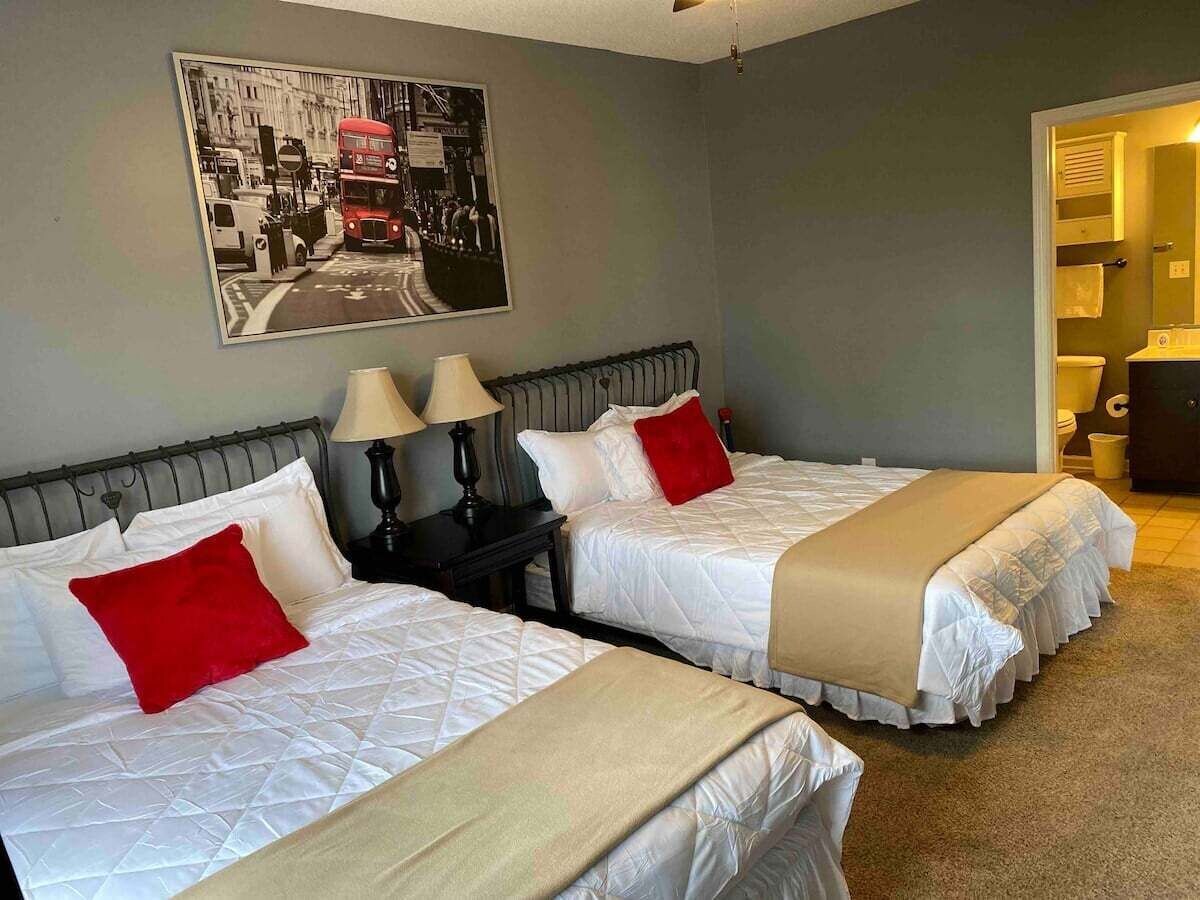 Image de profil de l’hôte