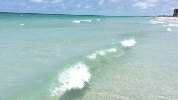 A beach with clear turquoise water and a sandy shore.