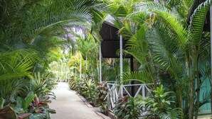 Unclassified image, 3 of 25, button - Hotel Relax & Hotsprings (La Fortuna)