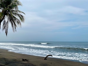 Sun-loungers, beach towels