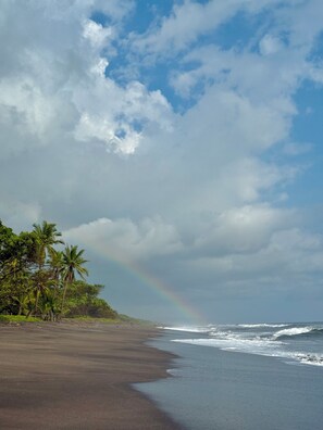 Sun-loungers, beach towels - Beachfront Guest House Surrounded by Nature (Sonsonate)