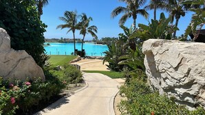 A pathway leading to a pool with palm trees and rocks.