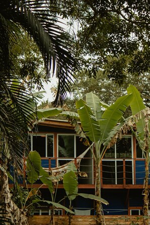 Plage privée, sable blanc