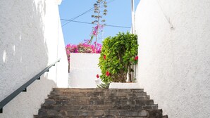 Un escalier étroit, bordé de murs blancs, mène à une porte ornée d’un pot de fleurs.