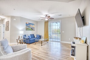 TV connectée, cheminée, lecteur de DVD, livres