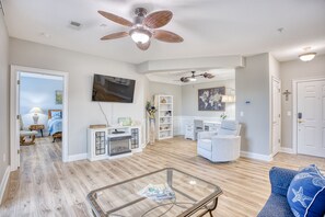 Smart TV, fireplace, DVD player, books