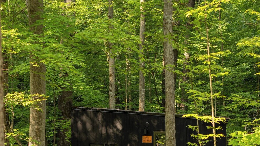 Postcard Cabins The Thumb, Outdoor Collection by Marriott Bonvoy