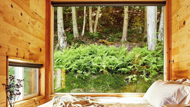 A wooden cabin bedroom with a bed, a desk, and a window overlooking a forest.
