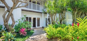 Un sendero conduce a un edificio con balcón, rodeado de exuberante vegetación y diversas plantas.