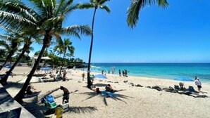 Una playa con palmeras, una orilla arenosa y gente disfrutando del lugar.