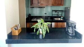 Una cocina con armarios de madera, una estufa a gas, una cafetera y una planta en maceta sobre la encimera.