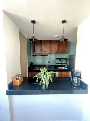 Fridge, microwave, oven, stovetop - Great condo in the best location (Puerto Vallarta)