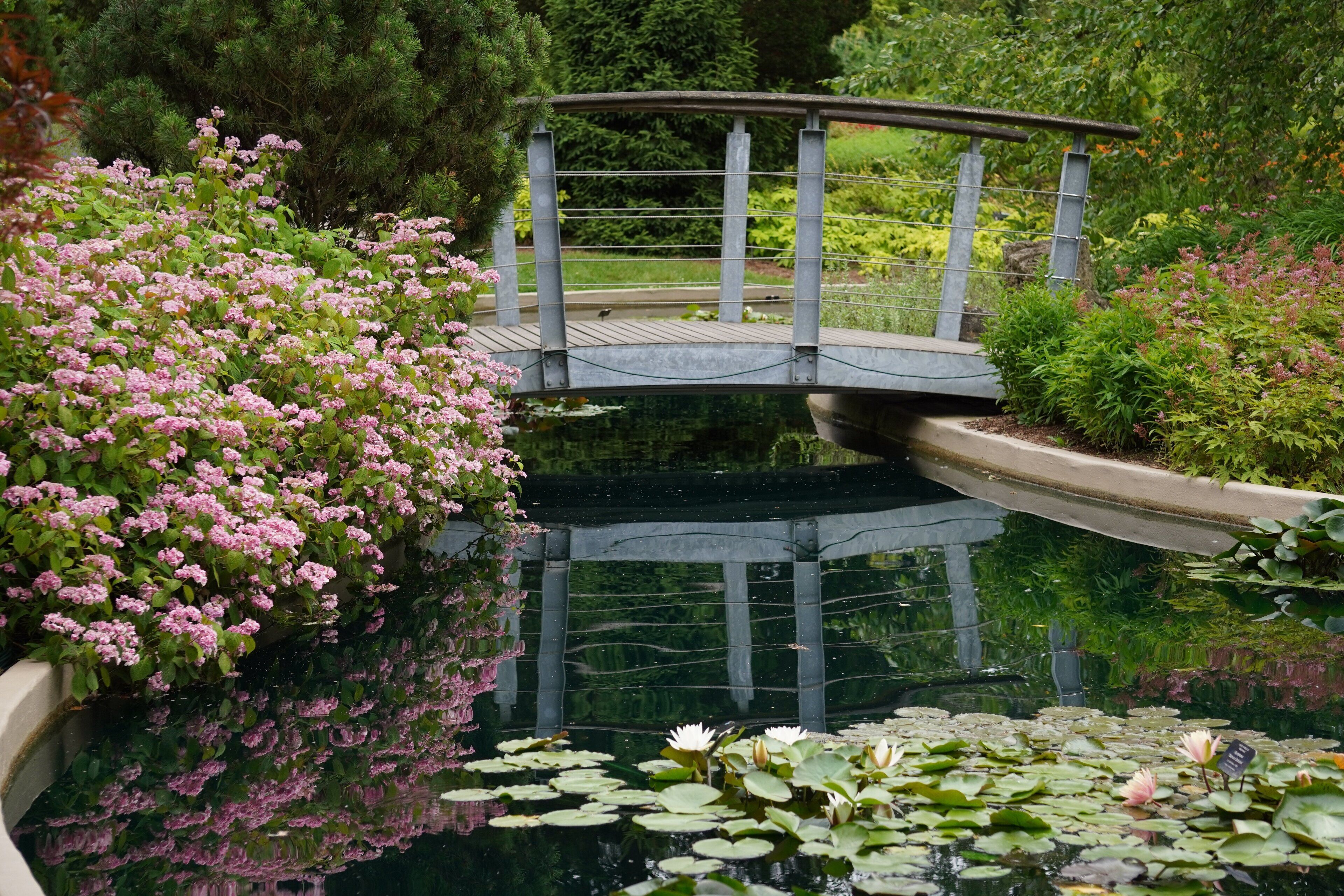 Foto - Holiday Inn Express Hamilton - Upper James by IHG