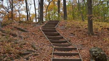 Una escalera de madera que sube una colina, rodeada de árboles y hojas caídas.