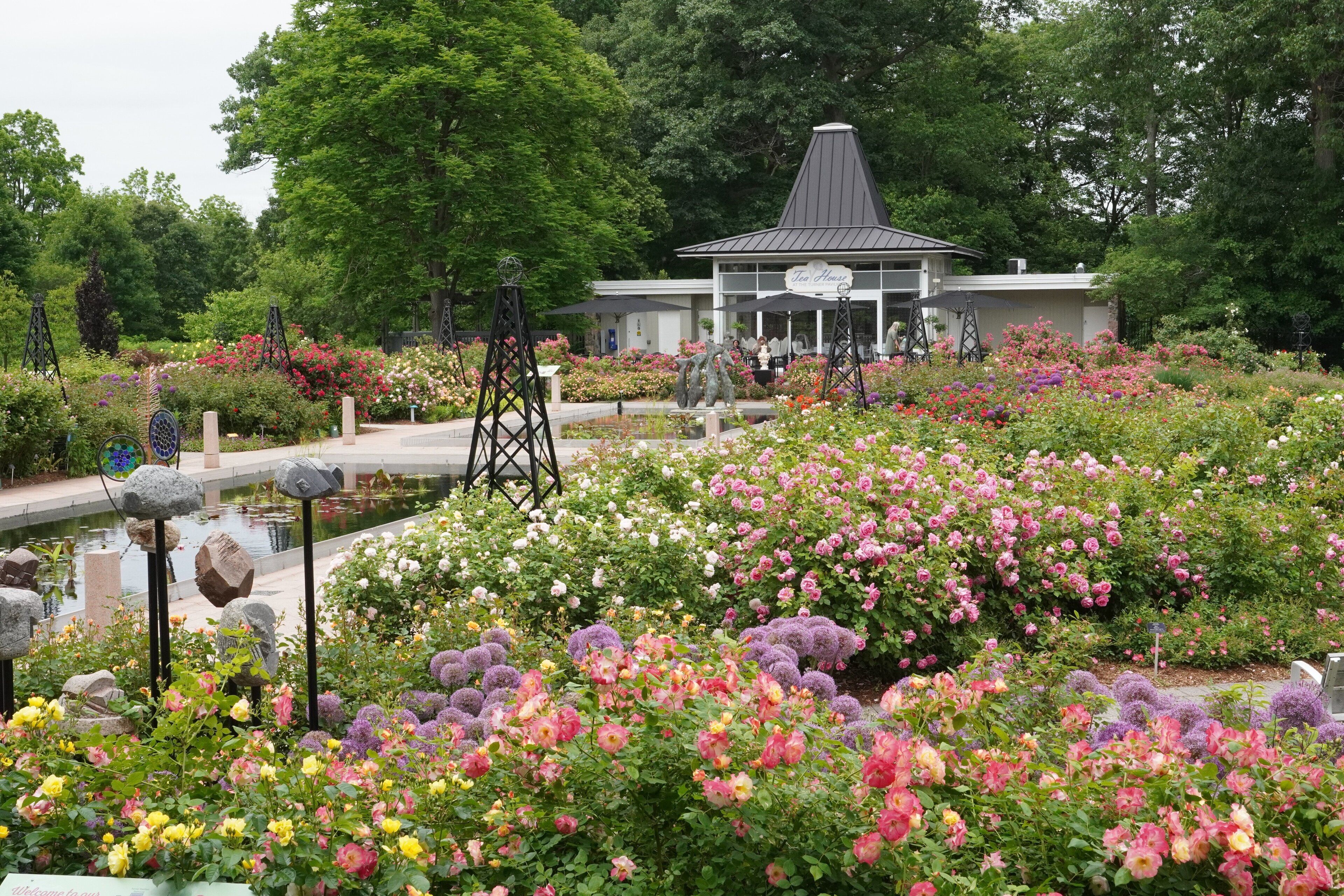 Foto - Holiday Inn Express Hamilton - Upper James by IHG