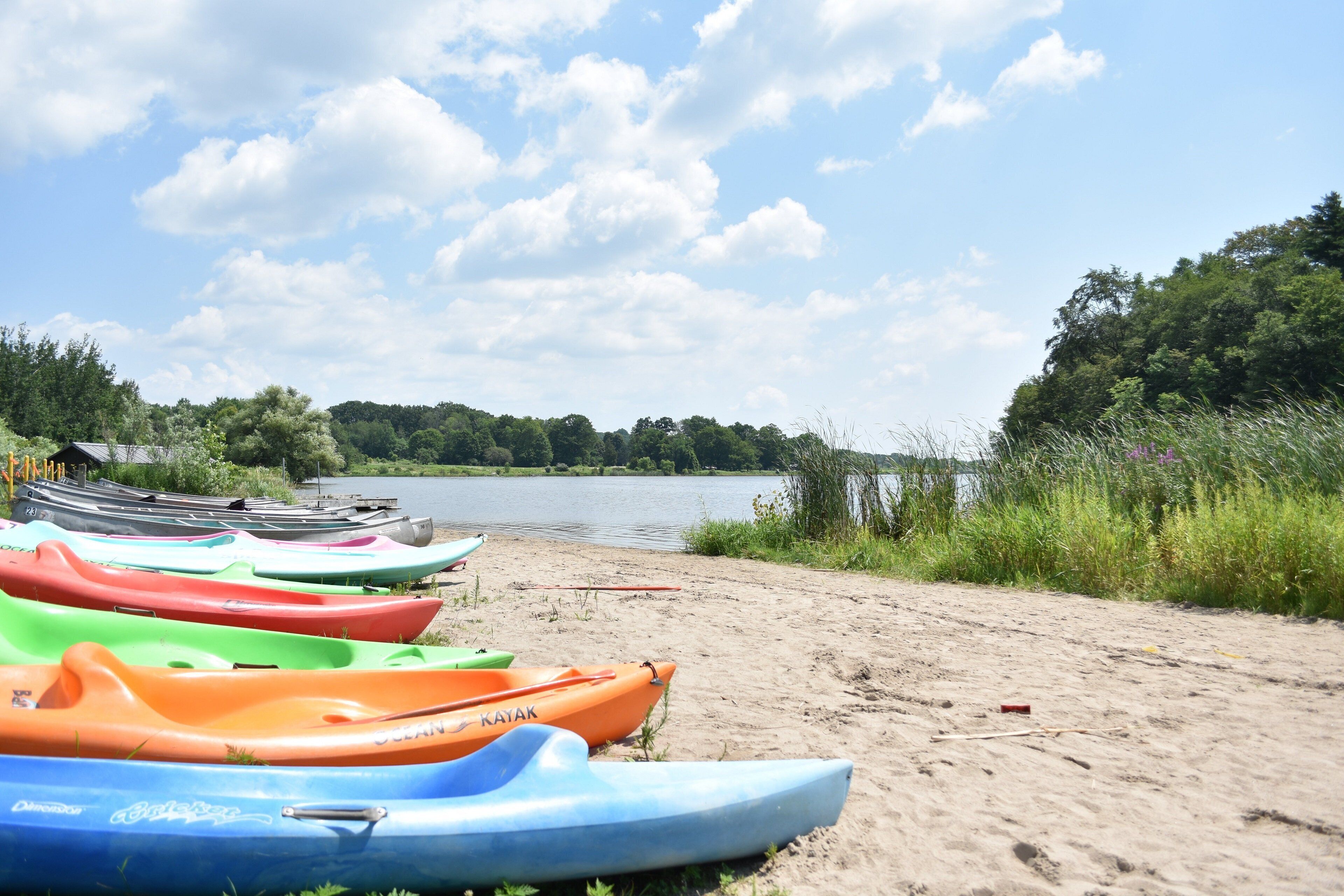 Foto - Holiday Inn Express Hamilton - Upper James by IHG