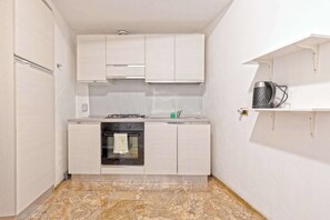 Fridge, oven, stovetop, electric kettle