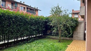 A courtyard with a paved walkway, a small tree, and a hedge.