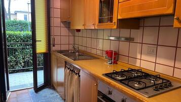 Frigorífico, microondas, horno y placa de cocina