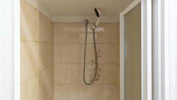 Une douche équipée d’un pommeau de douche à main et d’un flexible.