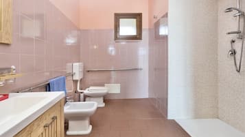 Shower, hair dryer, bidet, towels