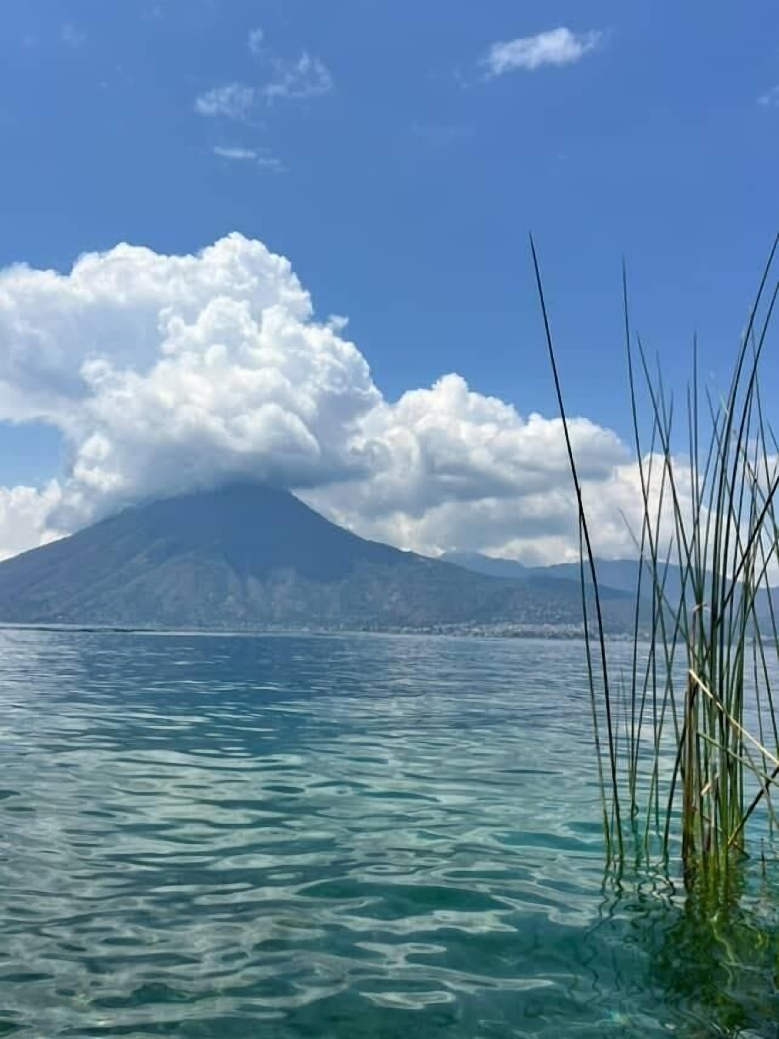 Vistes clares d'un llac amb una muntanya al fons i herba alta al primer pla.