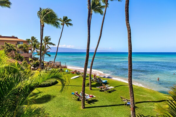 Property grounds - Oceanfront retreat with breathtaking ocean views (Lahaina)