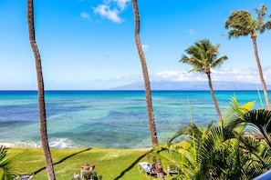 A tropical beach scene with palm trees and a clear view of the ocean.
