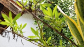 Luksushus, bassengutsikt | Privat boblebad