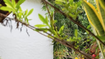 Casa superluxo, vista para a piscina | Banheira de hidromassagem particular