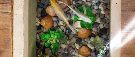 A rectangular aquarium with a variety of pebbles, plants, and a goldfish.