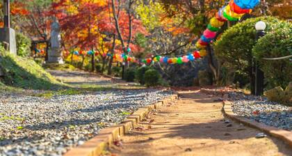 Gapeyong Fourseason Pet Glamping Caravan