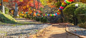 Gapeyong Fourseason Pet Glamping Caravan