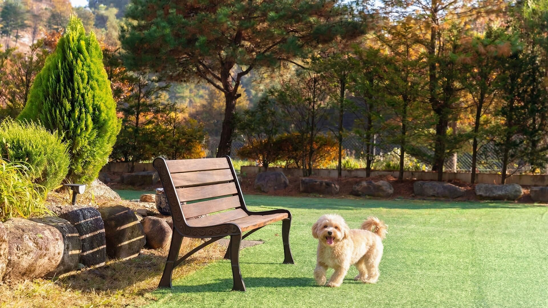 Ein Park mit einer Holzbank und einem Hund.