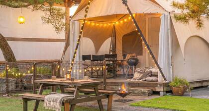 Gapeyong Fourseason Pet Glamping Caravan