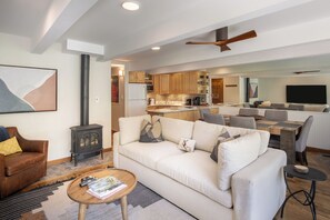 Smart TV, fireplace, books