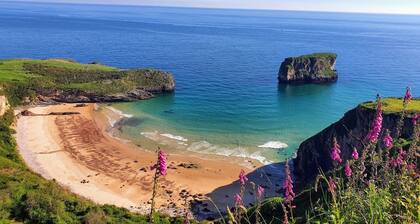 La Pitufina Blue Vacation Home