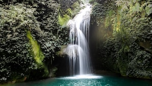 Una cascada se precipita en una piscina turquesa cristalina rodeada de exuberante vegetación.